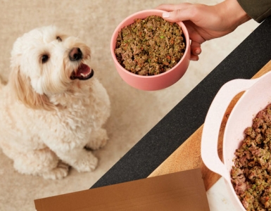 SẢN PHẨM THÚ NUÔI